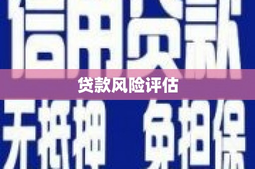 延长贷款风险评估