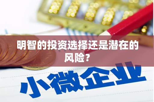 延长明智的投资选择还是潜在的风险？