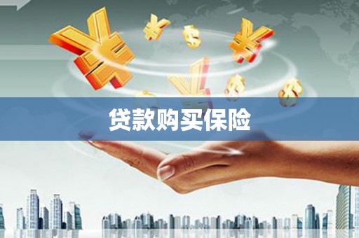 延长贷款购买保险