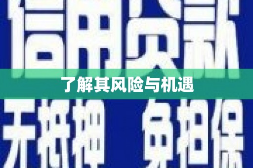 延长了解其风险与机遇