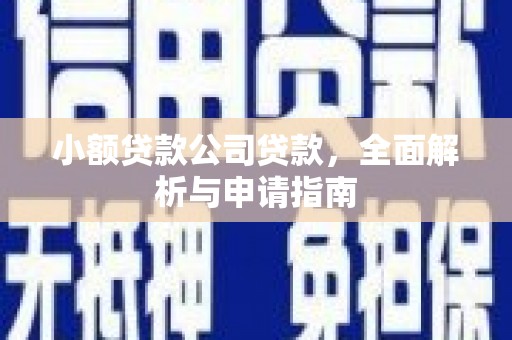 延长小额贷款公司贷款，全面解析与申请指南