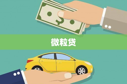 延长微粒贷