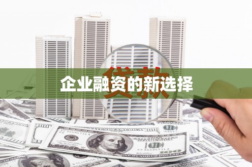 延长企业融资的新选择