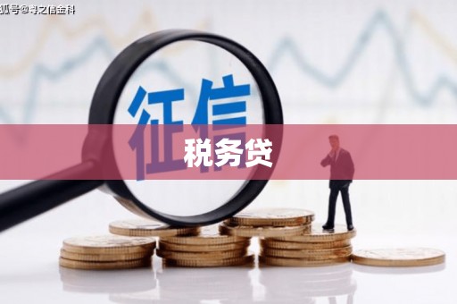 延长税务贷