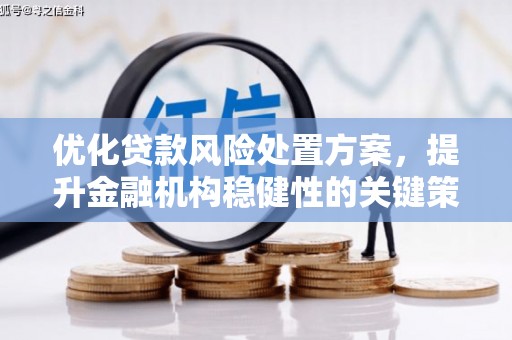 延长优化贷款风险处置方案，提升金融机构稳健性的关键策略