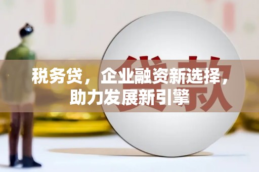 延长税务贷，企业融资新选择，助力发展新引擎