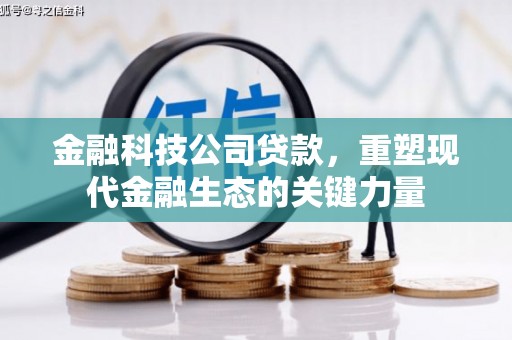 延长金融科技公司贷款，重塑现代金融生态的关键力量