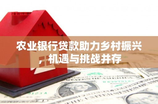 延长农业银行贷款助力乡村振兴，机遇与挑战并存