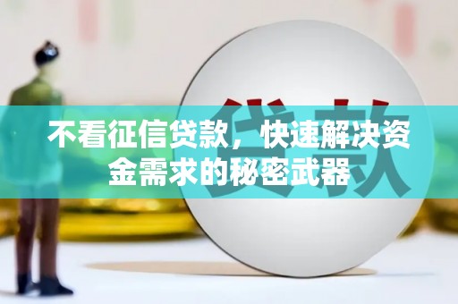 延长不看征信贷款，快速解决资金需求的秘密武器