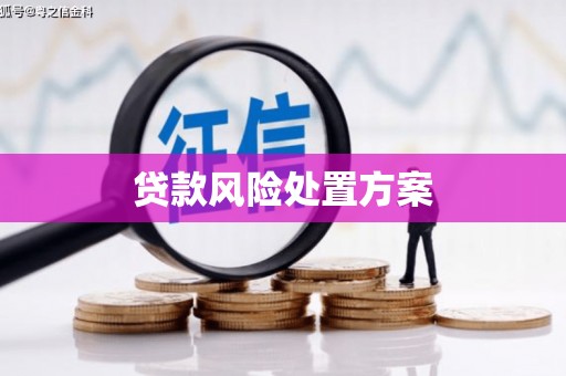 延长贷款风险处置方案