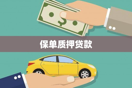 延长保单质押贷款