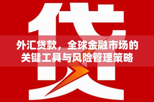 延长外汇贷款，全球金融市场的关键工具与风险管理策略