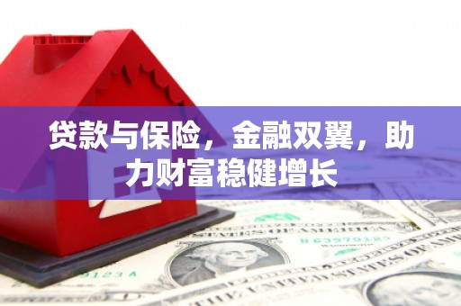 延长贷款与保险，金融双翼，助力财富稳健增长
