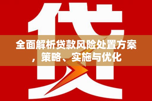 延长全面解析贷款风险处置方案，策略、实施与优化