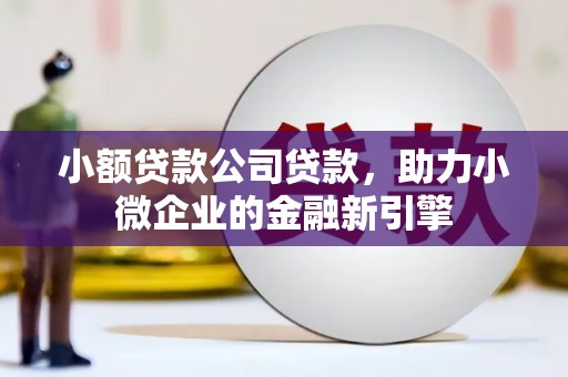 延长小额贷款公司贷款，助力小微企业的金融新引擎
