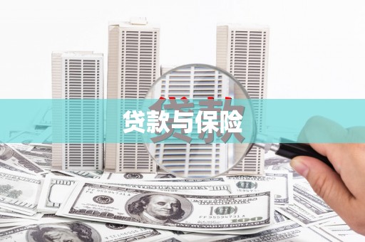 延长贷款与保险