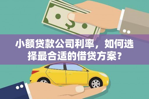 延长小额贷款公司利率，如何选择最合适的借贷方案？