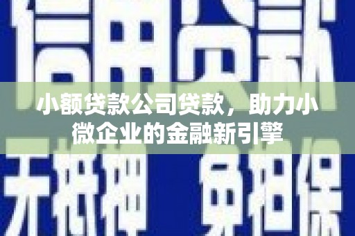 延长小额贷款公司贷款，助力小微企业的金融新引擎