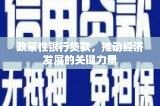 延长政策性银行贷款，推动经济发展的关键力量