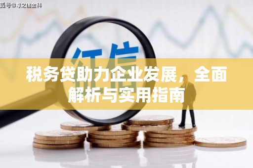 延长税务贷助力企业发展，全面解析与实用指南