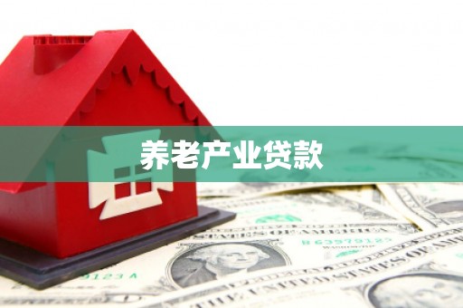 延长养老产业贷款