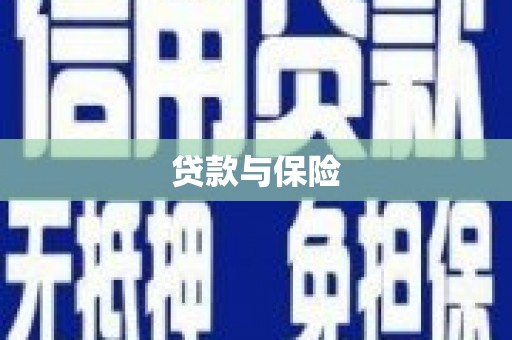 延长贷款与保险