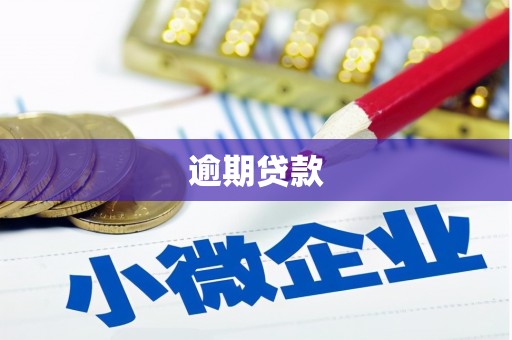 延长逾期贷款